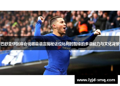 巴舒亚伊到底会说哪些语言揭秘这位比利时前锋的多语能力与文化背景